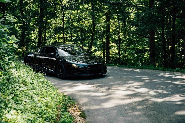 What Are the Essential Tips for Raising a Healthy and Happy Exotic Pet?