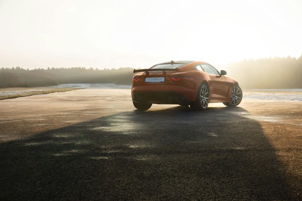 What's the Most Effective Way to Integrate Pets into Outdoor Family Activities Safely?