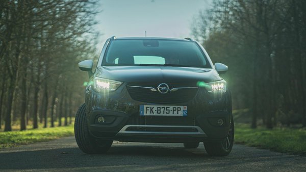 What Are the Best Plants for a Home Office to Enhance Productivity and Clean Air?